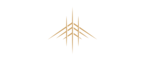 Aero Capital — Magellan Data Intelligence logo